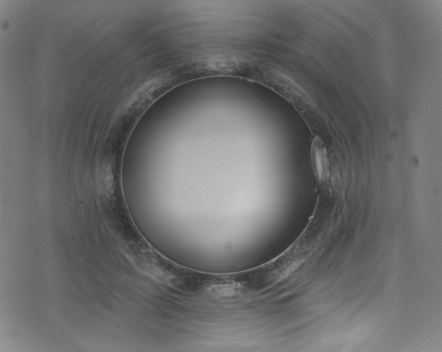 X0000073400595200607281127