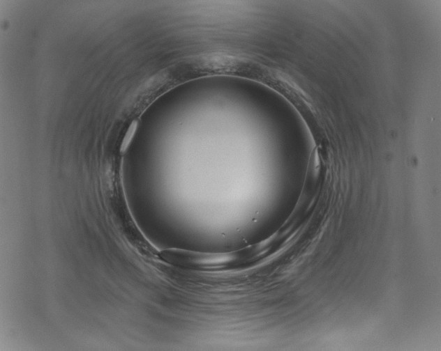 X0000073400597200607281127