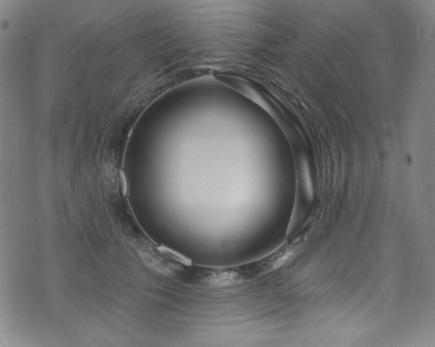X0000073400609200607281126