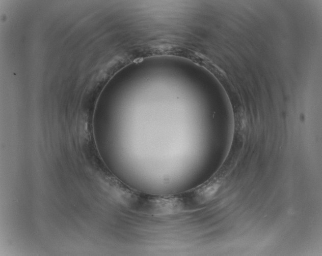 X0000073400615200607281126