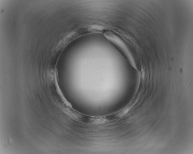 X0000073400621200607281126