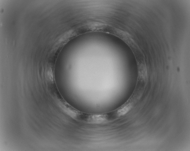 X0000073400622200607281126