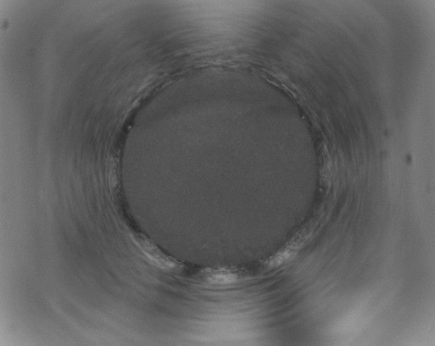 X0000073400658200607281126