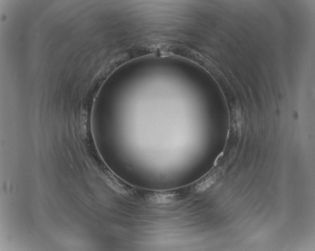 X0000073400664200607281126