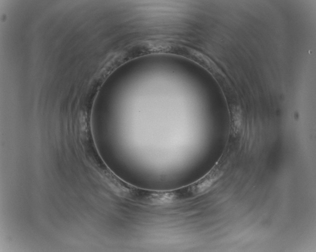 X0000073400667200607281126