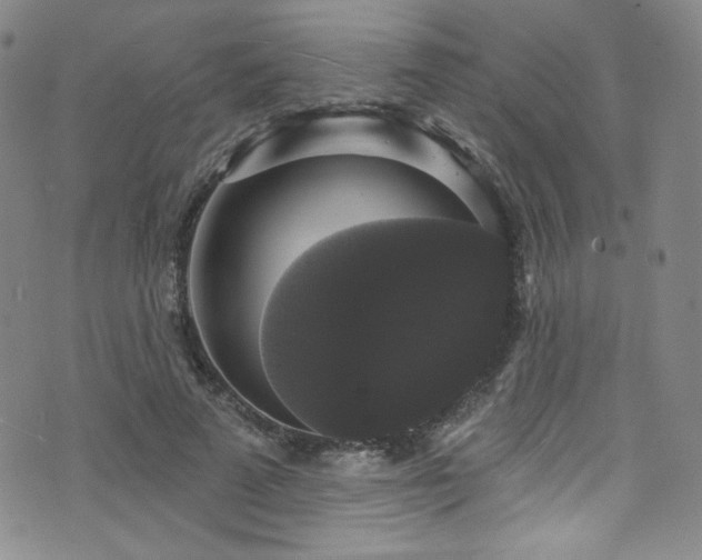 X0000073400689200607281125