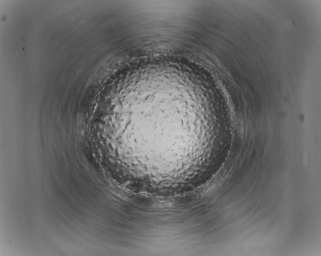 X0000073400701200607281125