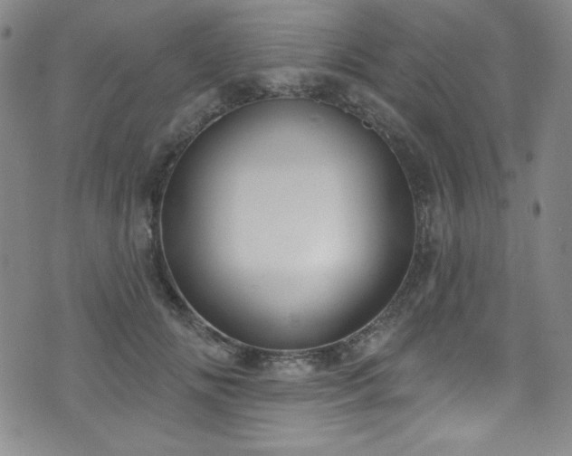 X0000073400702200607281125