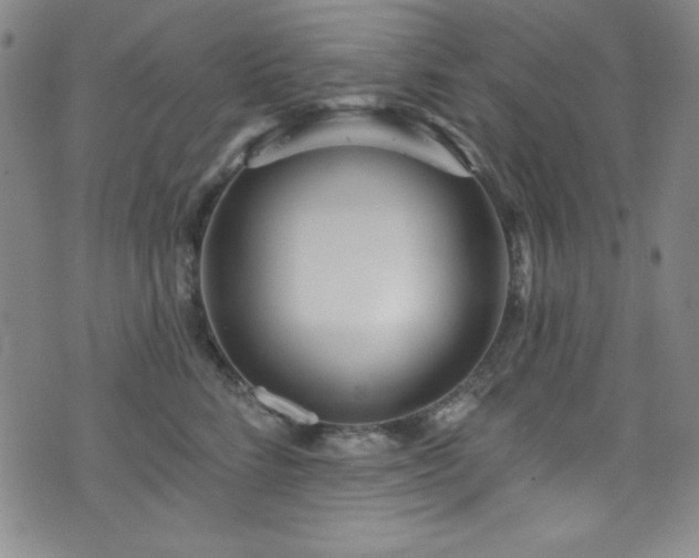 X0000073400712200607281125
