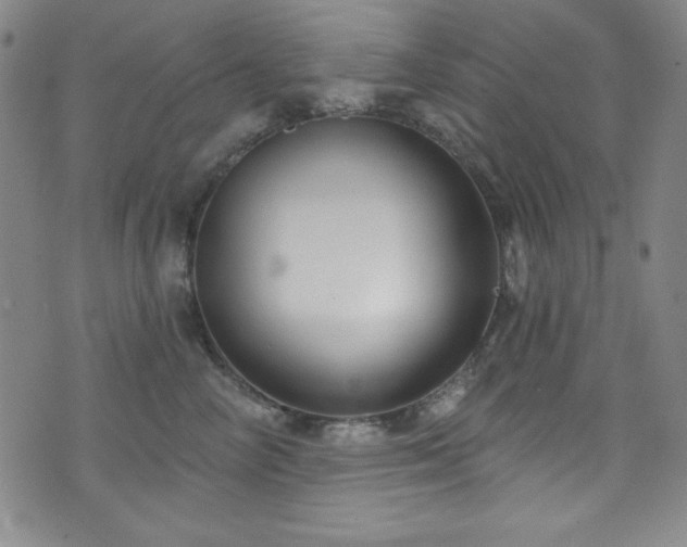 X0000073400714200607281125