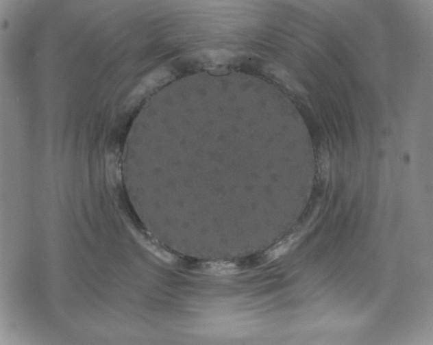 X0000073400719200607281125