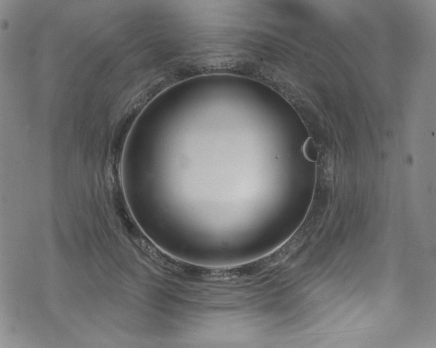 X0000073400746200607281124