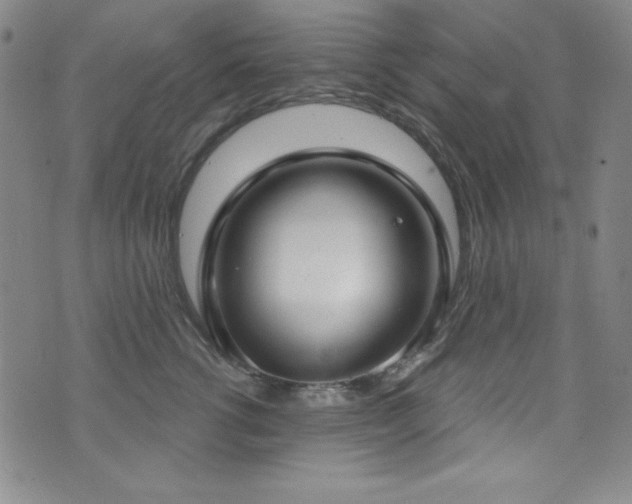 X0000073400762200607281124