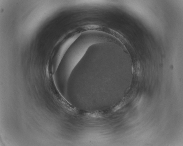 X0000073400763200607281124