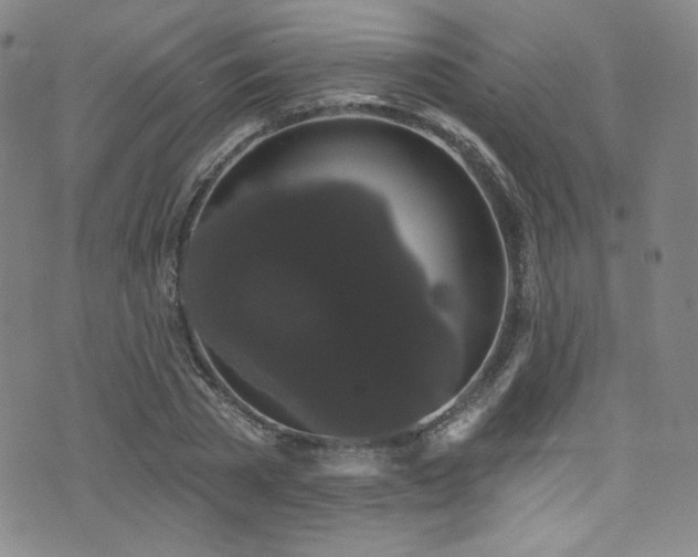 X0000073400785200607281123