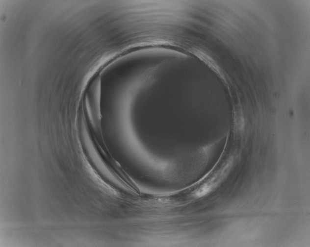 X0000073400797200607281123