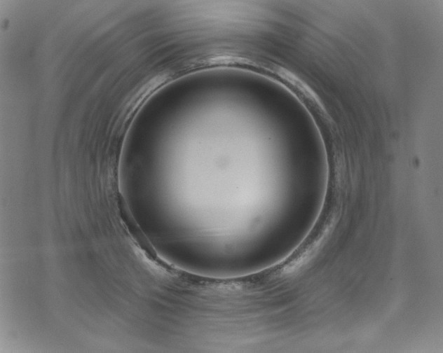 X0000073400801200607281123