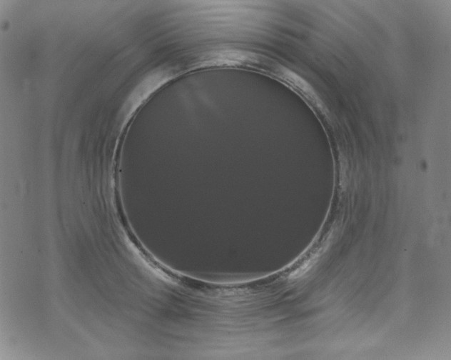 X0000073400802200607281123