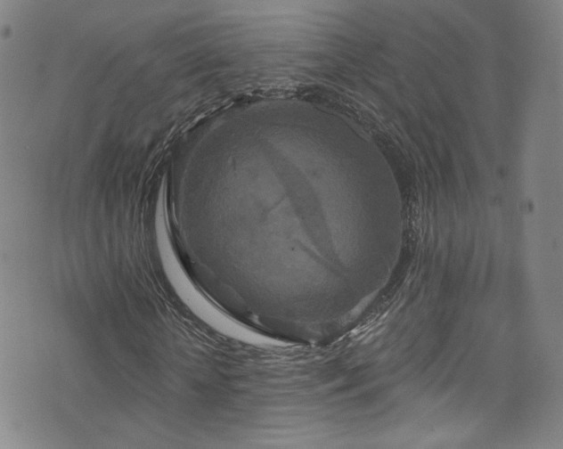 X0000073400818200607281122