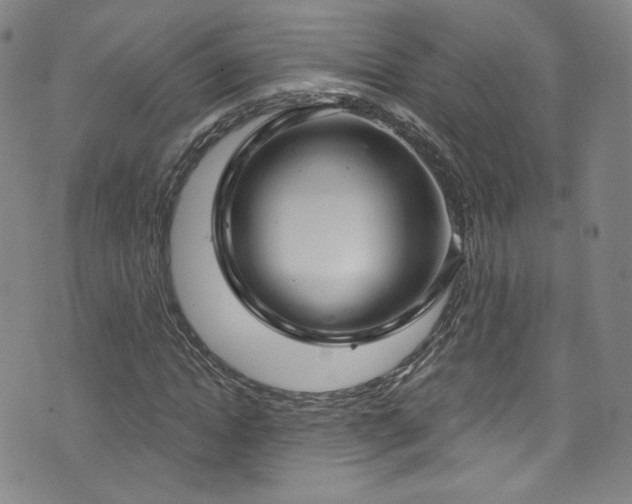 X0000073400822200607281122