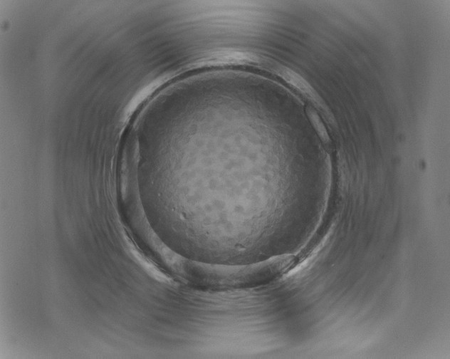X0000073400842200607281123