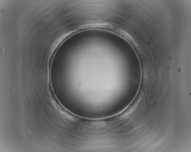 X0000073400844200607281123