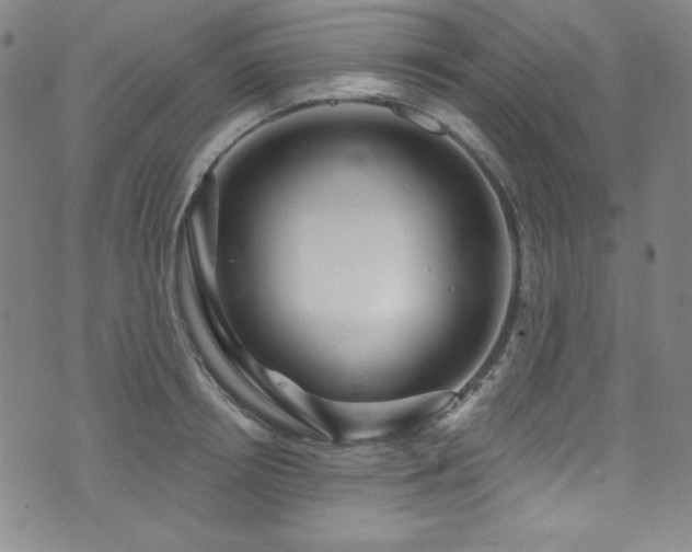 X0000073400850200607281123