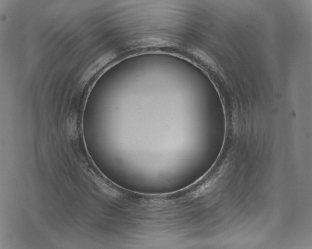X0000073400873200607281122