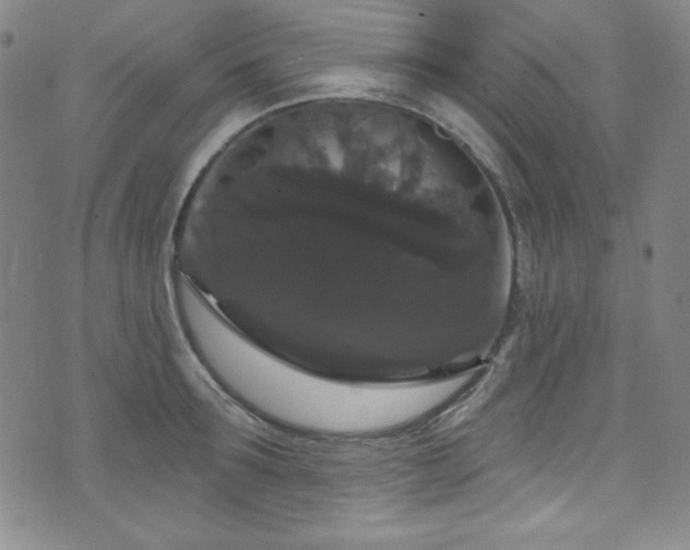 X0000073400899200607281122