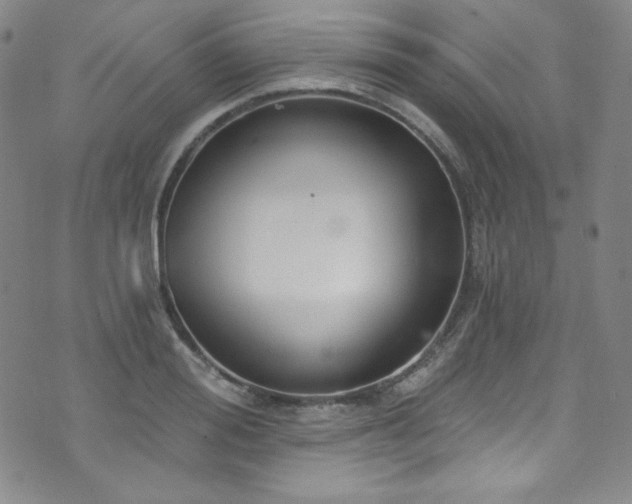 X0000073400988200607281120