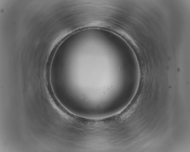 X0000073400991200607281120