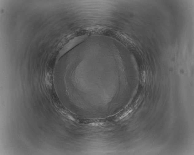 X0000073401010200607281119