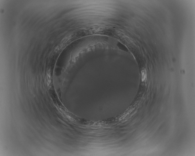 X0000073401011200607281119