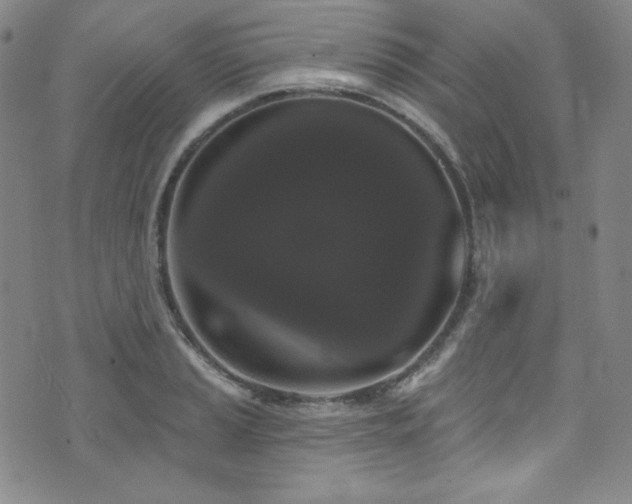 X0000073401037200607281119