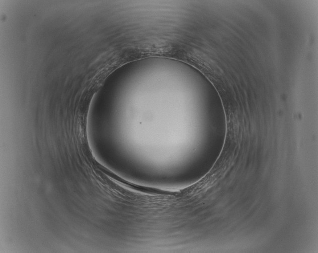 X0000073401058200607281119
