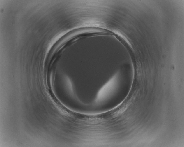 X0000073401077200607281119