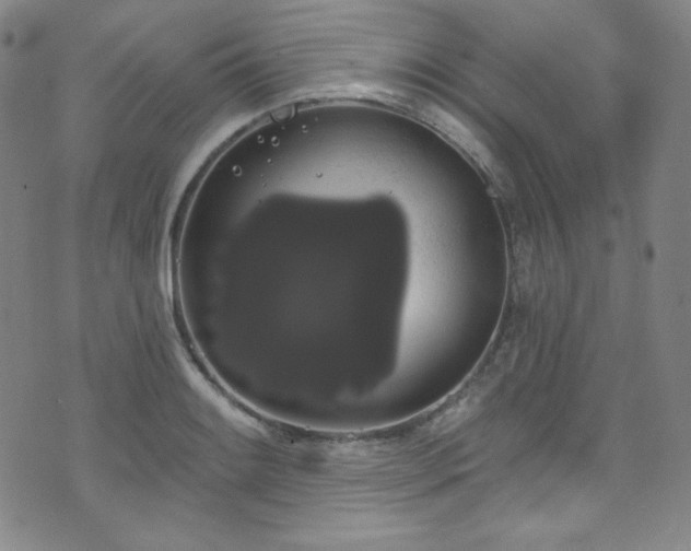X0000073401084200607281119