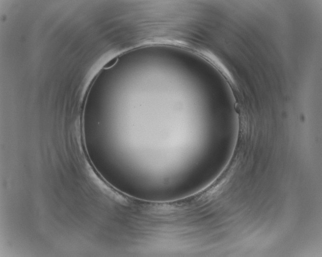 X0000073401100200607281118