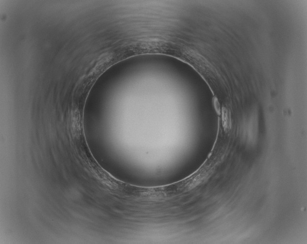 X0000073401107200607281117