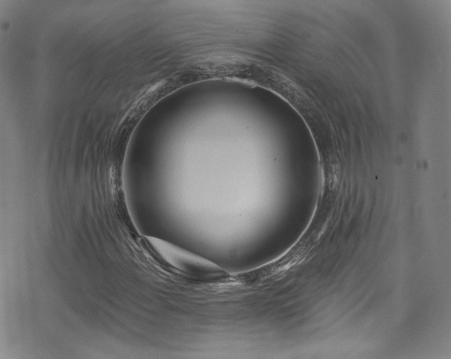 X0000073401108200607281117
