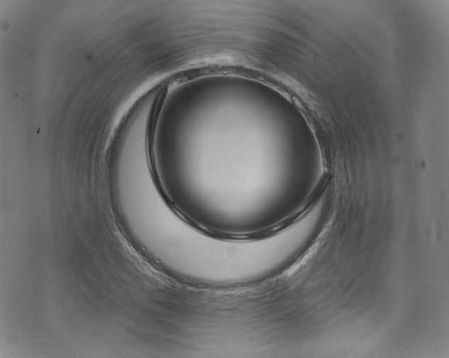 X0000073401118200607281118