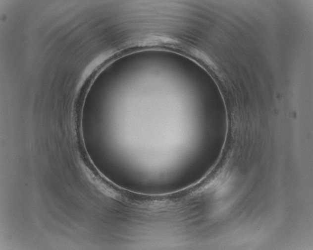 X0000073401122200607281118