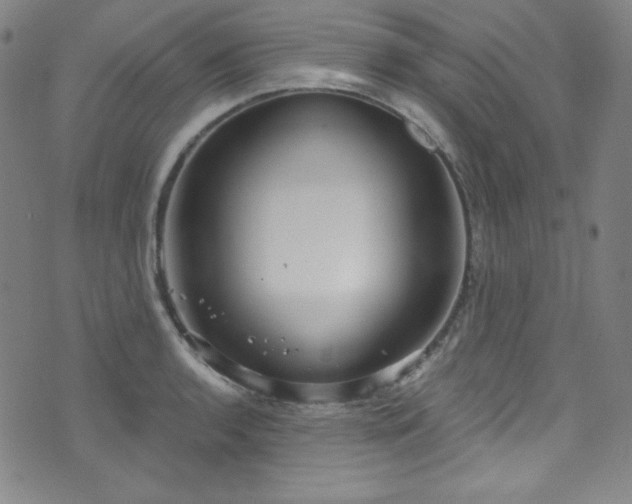X0000073401136200607281118