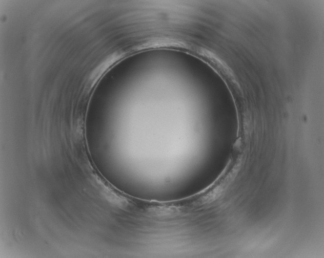 X0000073401185200607281117