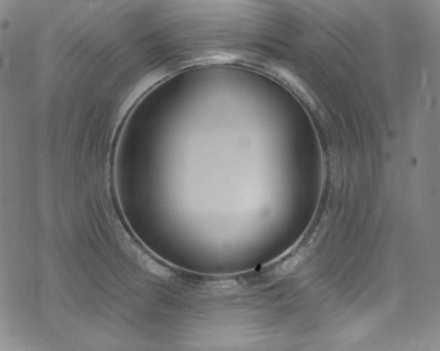 X0000073401186200607281117