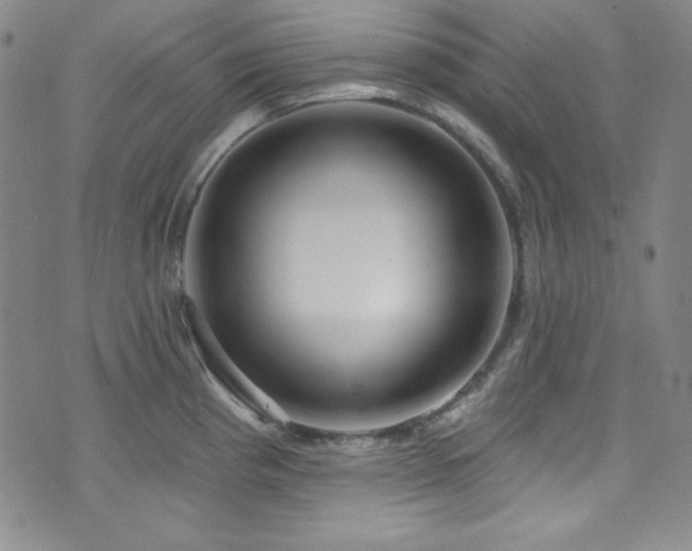 X0000073401193200607281117