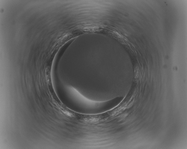 X0000073401202200607281116