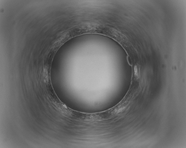 X0000073401203200607281116