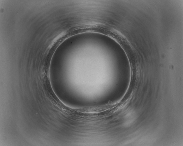 X0000073401210200607281116