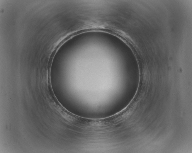 X0000073401220200607281116